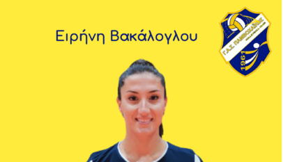 βακαλογλου Αντιγραφή